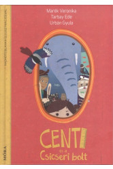 Centi és a csicseri bolt