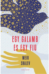 Egy galamb és egy fiú