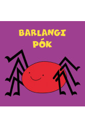 Barlangi pók