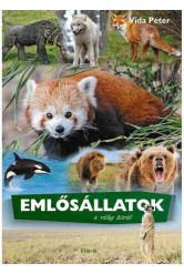 Emlősállatok a világ körül