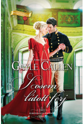 Sosem látott férj - Arany Széphistória