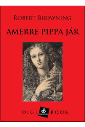 Amerre Pippa jár (e-könyv)