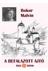 A befalazott ajtó (e-könyv)