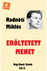 Erőltetett menet (e-könyv)