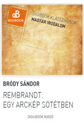 Rembrandt. Egy arckép sötétben (e-könyv)