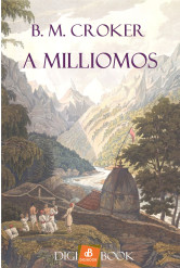 A milliomos (e-könyv)