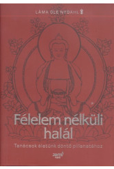 Félelem nélküli halál /Tanácsok életünk döntő pillanataihoz
