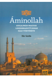 ÁMINOLLAH /SZULEJMÁN MAGYAR LESZÁRMAZOTTAINAK IGAZ TÖRTÉNETE