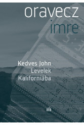 Kedves John - Levelek Kaliforniába (e-könyv)