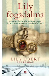 Lily fogadalma (e-könyv)