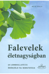 Falevelek életnagyságban /64 lombhullató és örökzöld faj bemutatása