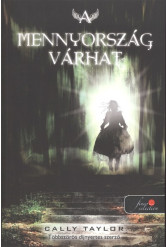 A mennyország várhat /Puha