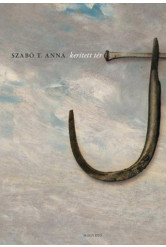 Kerített tér (e-könyv)