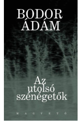 Az utolsó szénégetők (e-könyv)