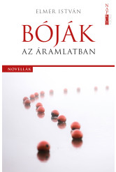 Bóják az áramlatban (e-könyv)