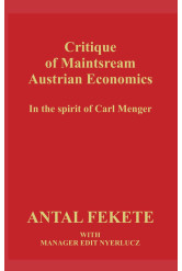 Critiqe of Maintsream Austrian Economics (e-könyv)