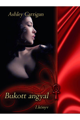 Bukott angyal (e-könyv)