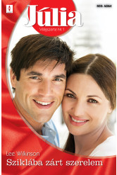 Júlia 503. (e-könyv)