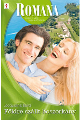 Romana 544. (e-könyv)