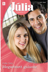 Júlia 502. (e-könyv)