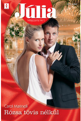 Júlia 525. (e-könyv)