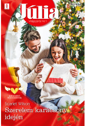 Júlia 691. (e-könyv)