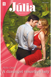 Júlia 640. (e-könyv)