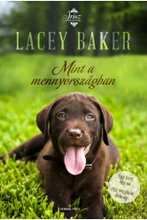 Mint a mennyországban (e-könyv)