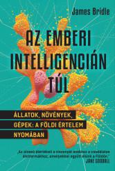 Az emberi intelligencián túl (e-könyv)