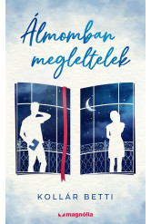 Álmomban megleltelek (e-könyv)