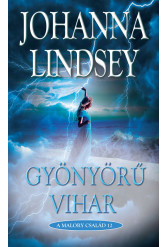 Gyönyörű vihar (e-könyv)