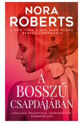 A bosszú csapdájában (e-könyv)