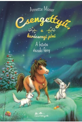 Csengettyű a karácsonyi póni 3. - A bűvös északi fény