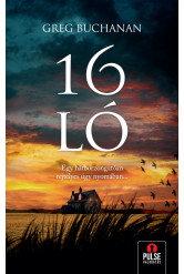 16 ló