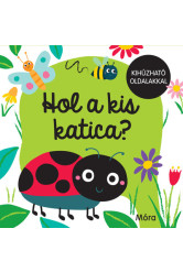 Hol a kis katica?