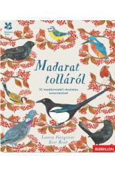 Madarat tolláról - 10 madármodell részletes ismertetővel - Kiapattintható oldalakkal