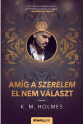 Amíg a szerelem el nem választ (e-könyv)