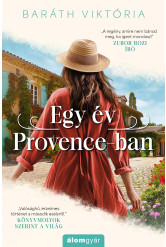 Egy év Provence-ban (e-könyv)