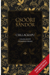 Csillagkapu – Válogatott gyermekversek /CD-melléklettel