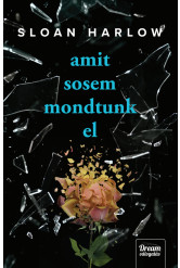 Amit sosem mondtunk el (e-könyv)