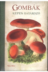 Képes határozó : Gombák