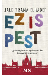 Ez is Pest - Egy falatnyi város - egy kortynyi élet