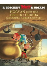 Asterix 0. Hogyan esett bele Obelix a druida kondérjába, amikor kicsi volt